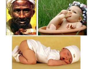 细胞的衰老和凋亡_细胞的癌变