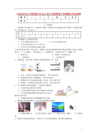 山西省农业大学附属中学2013届九年级物理下学期期末考试试题