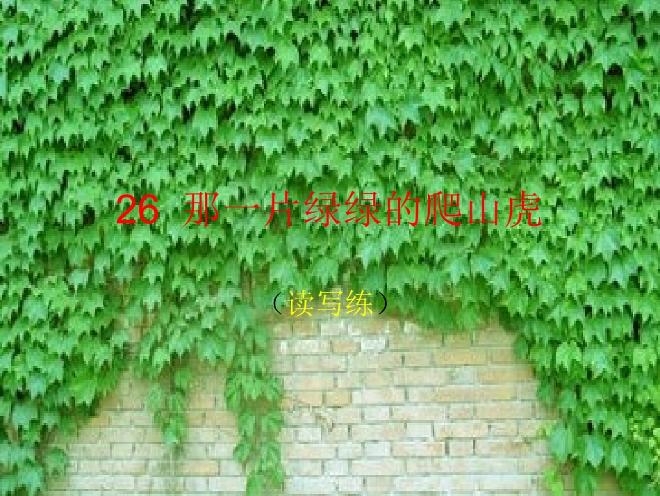 26那一片绿绿的爬山虎(读写练)_第1页