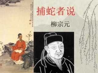 捕蛇者说 (4)