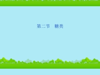 陕西省汉中市陕飞二中2012届高三生物总复习-第4章第二节-糖类课件-新人教版
