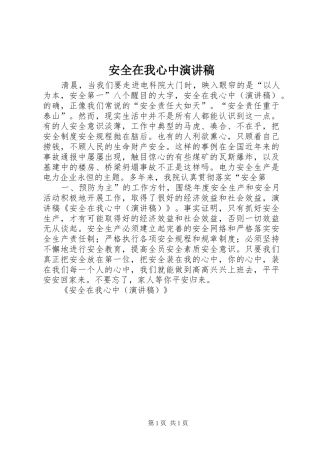 安全在我心中讲演范文
