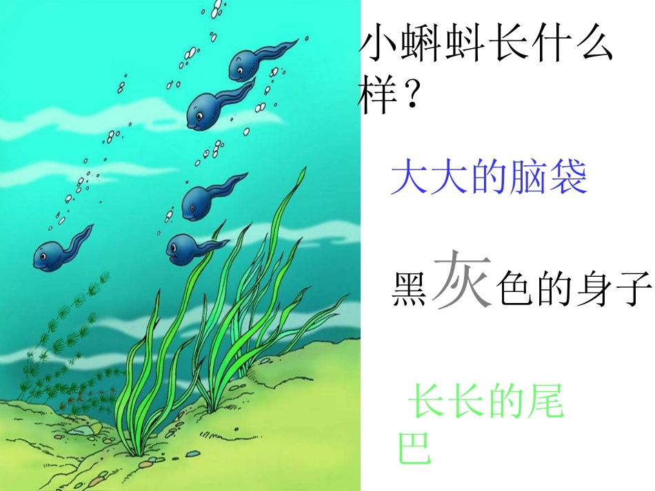 小蝌蚪找妈妈 (3)_第3页