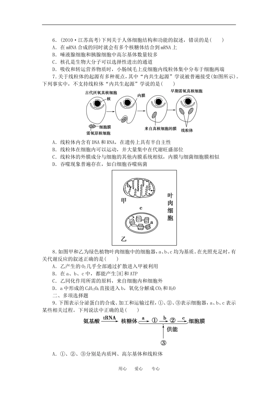2012高一生物-3.2细胞的类型和结构52每课一练-苏教版必修1_第2页