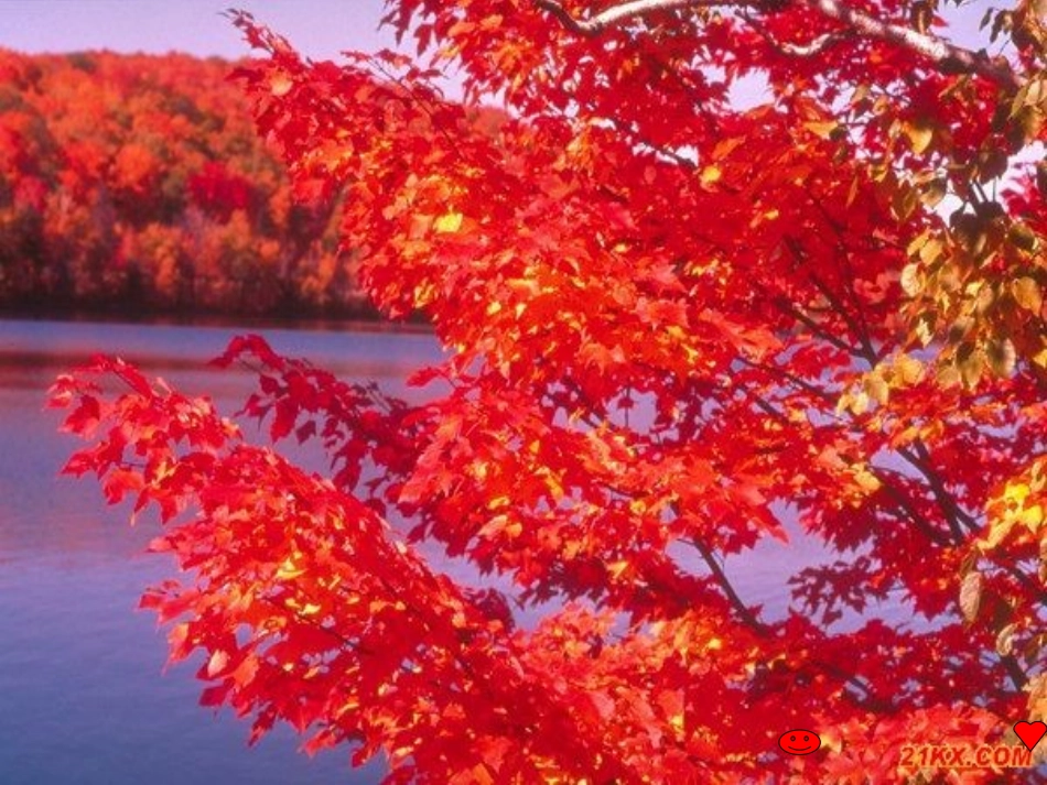 收获的感觉真好_第3页