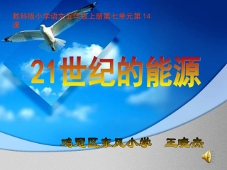 世纪的能源课件