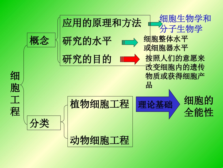 植物细胞工程 (2)_第3页