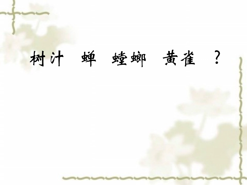 《有趣的食物链》课件5_第3页