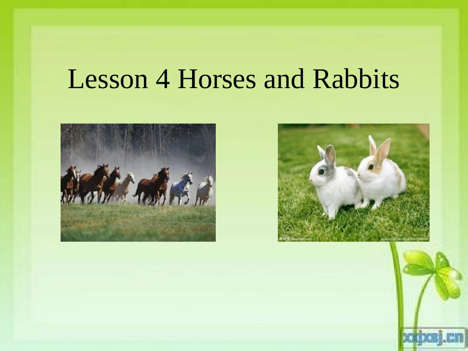 冀教版三下Lesson4HorsesandRabbits_第1页