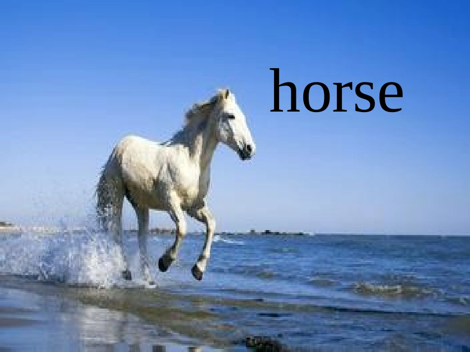 冀教版三下Lesson4HorsesandRabbits_第2页
