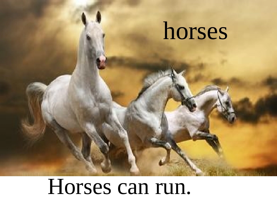 冀教版三下Lesson4HorsesandRabbits_第3页