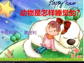 《动物怎样睡觉的》