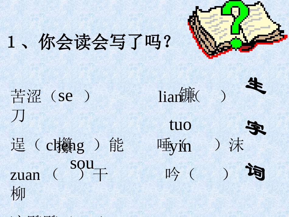 《柳叶儿》课件_第3页