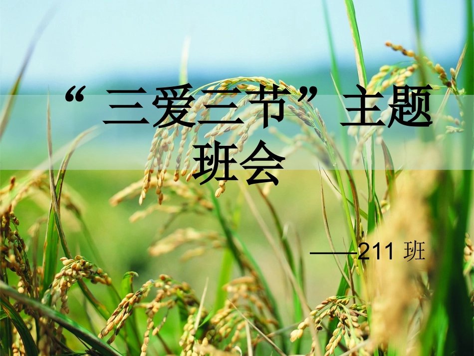 三爱三节班会_第1页