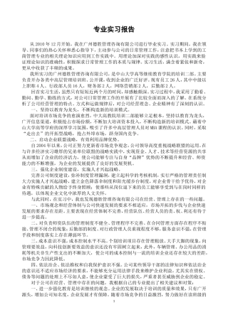 管理咨询公司实训报告