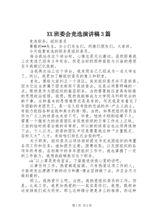 XX班委会竞选演讲稿范文3篇(2)