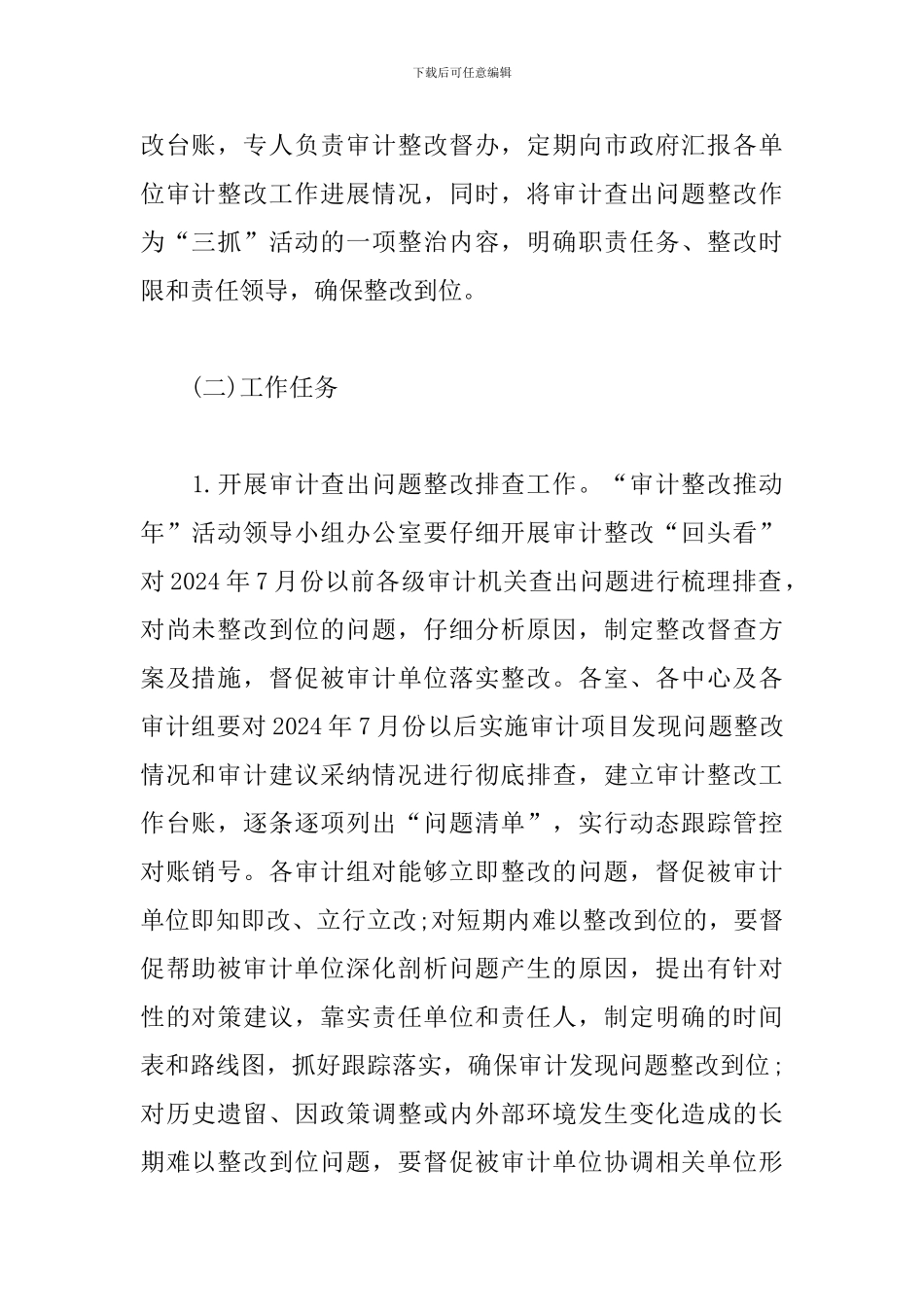 关于审计整改推进年活动实施方案_第2页