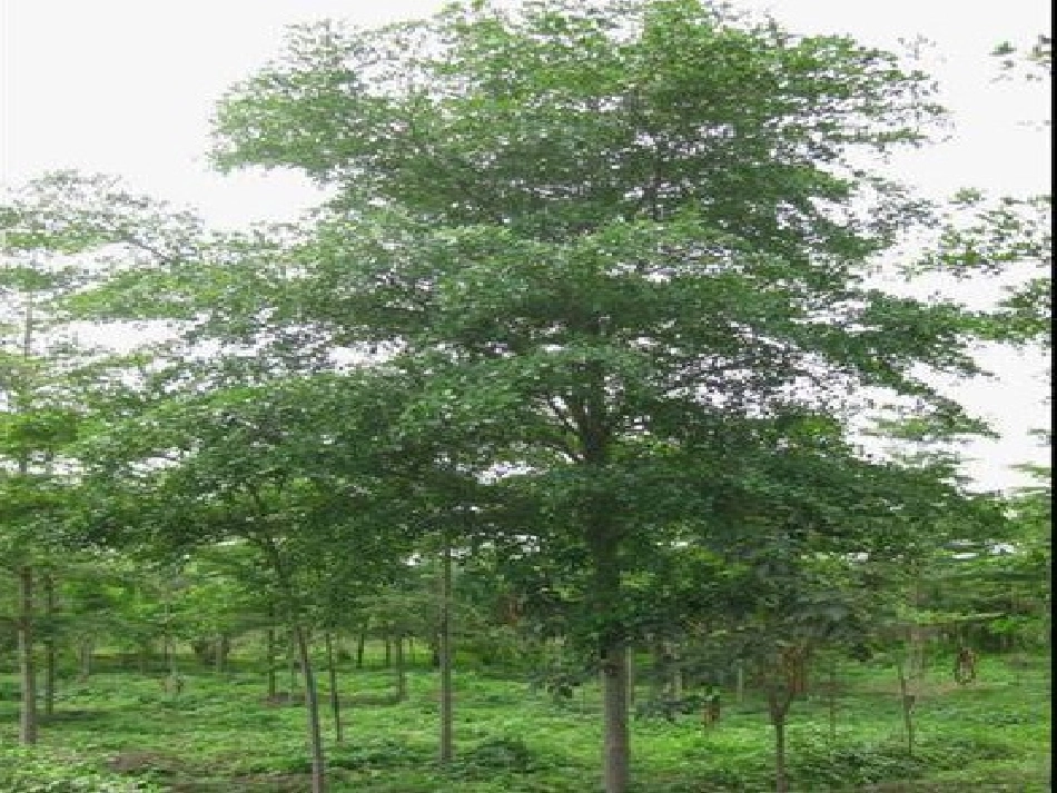 分数加减法混合运算课件_第2页