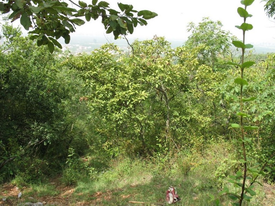 分数加减法混合运算课件_第3页