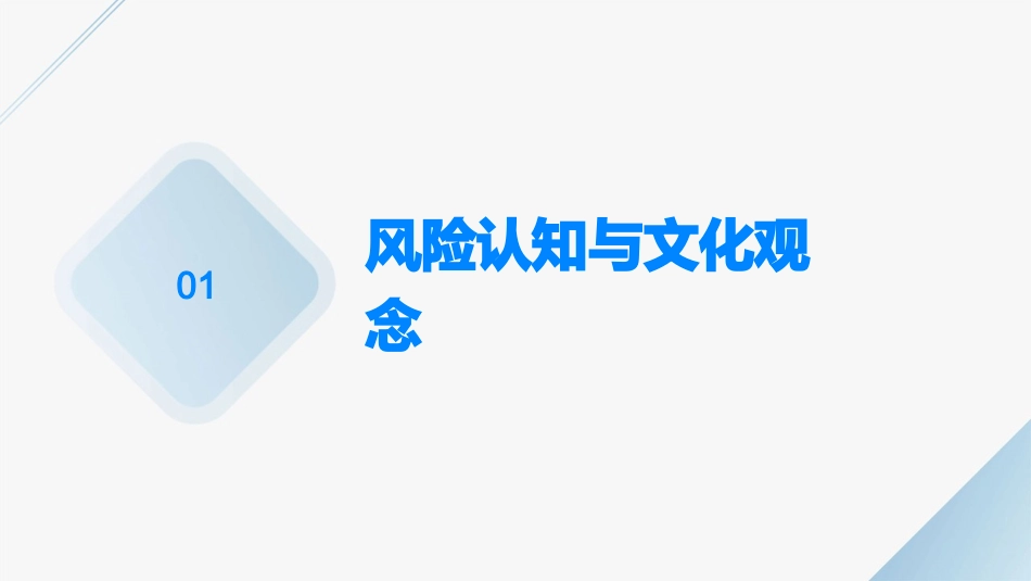 风险与保险的社会文化环境课件_第3页