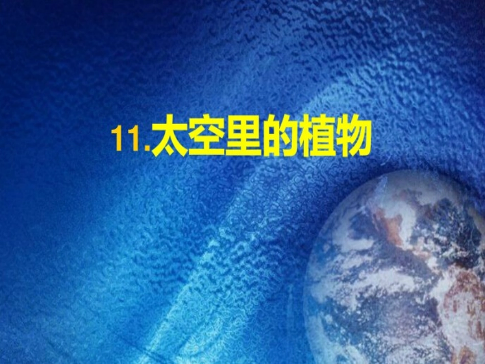 太空里的植物_第1页