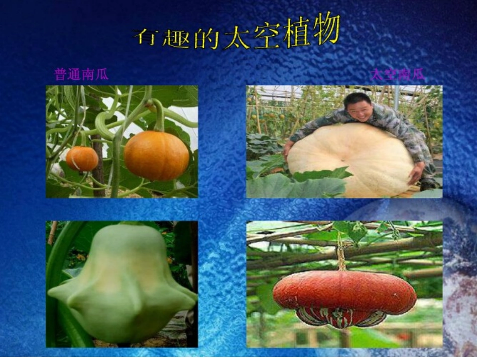 太空里的植物_第3页