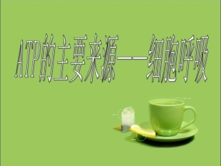 生物：53《探究酵母菌细胞呼吸的方式》课件(新人教必修1)