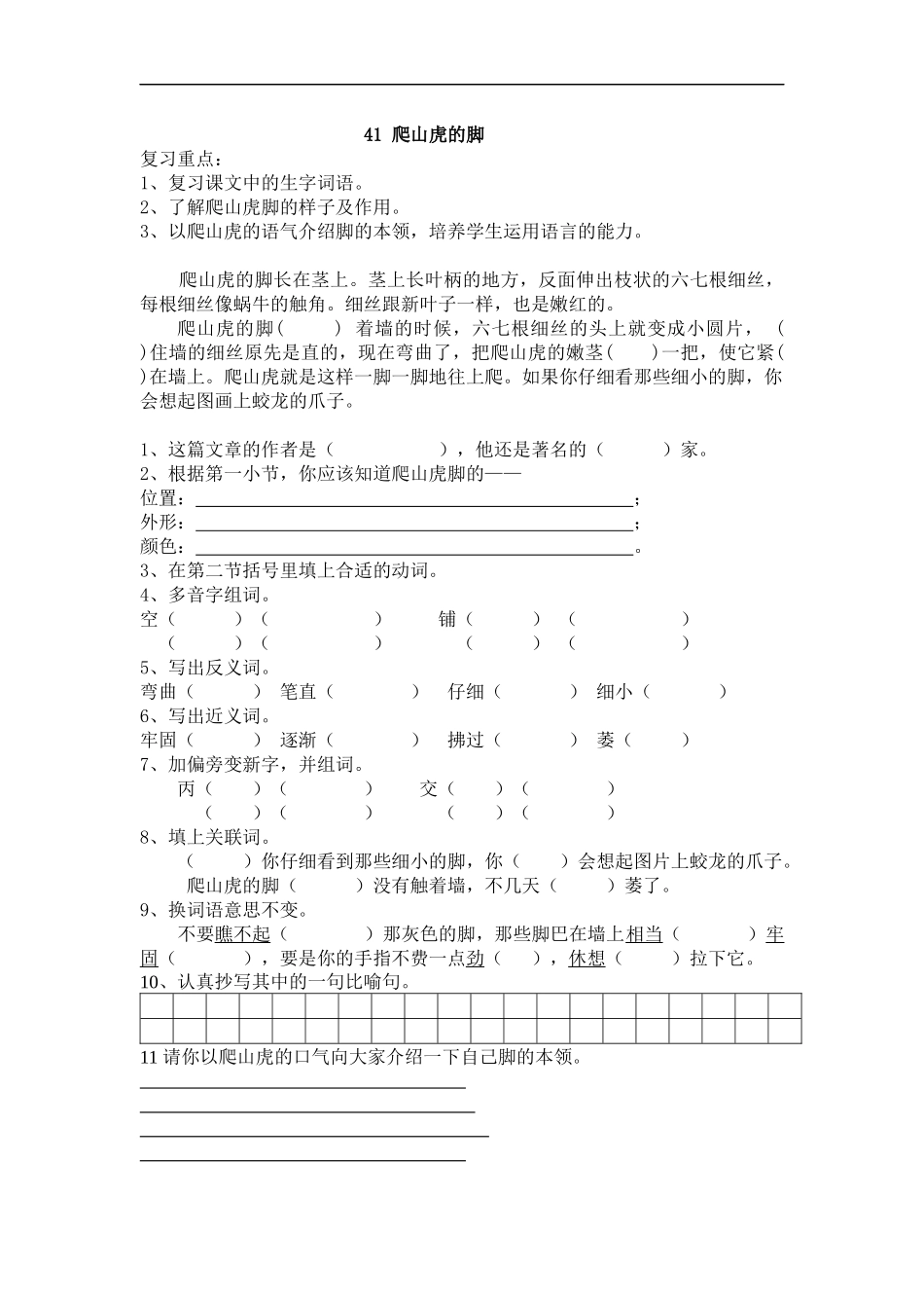 41-爬山虎的脚_第1页