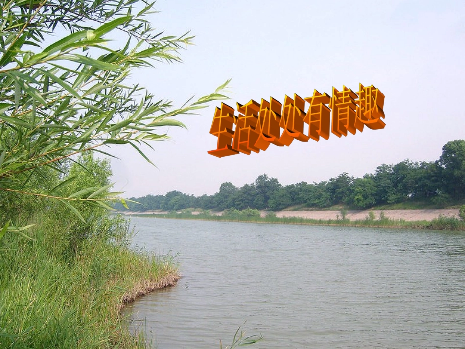 《生活处处有情趣》PPT课件_第1页
