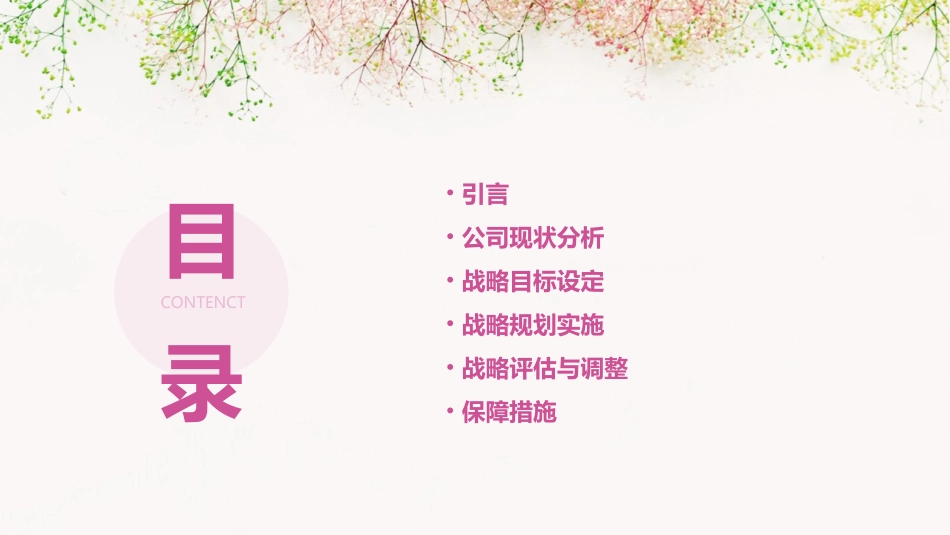 皇明战略规划最终稿_第2页