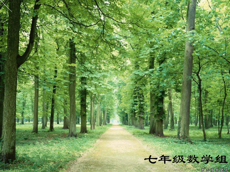 二元一次方程组de解法_第3页