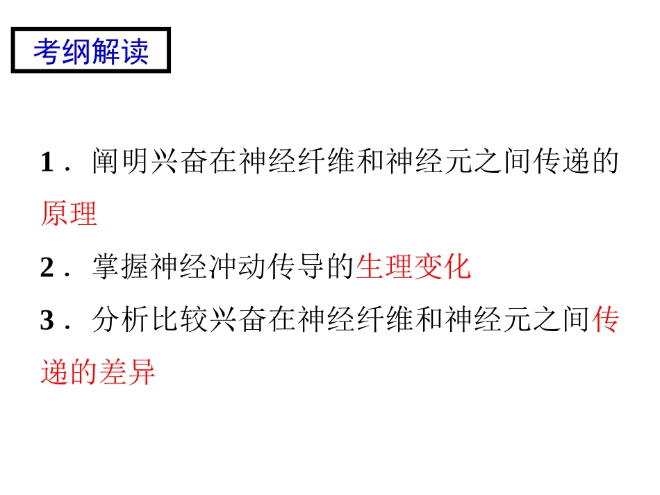神经冲动的产生和传导_第2页