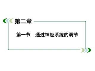 神经冲动的产生和传导