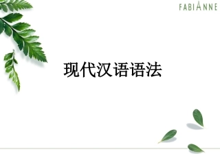 语文高中现代汉语语法