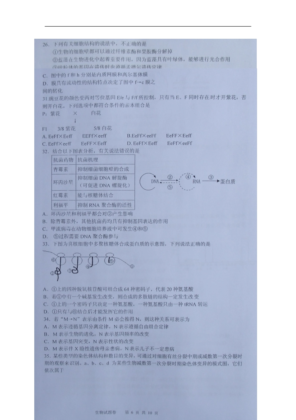浙江省建人高复2013届高三生物上学期第三次月考试题(扫描版)浙科版_第3页