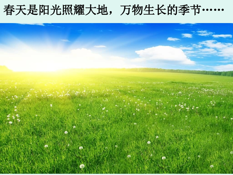 北师大版语文一年级下册《春天的手》课件PPT_第3页