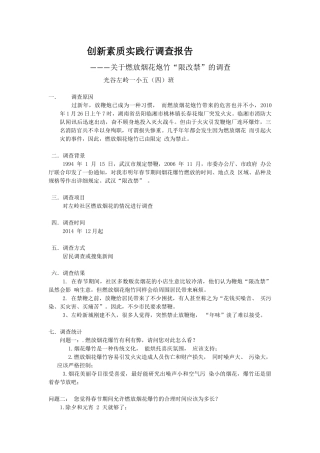 创新素质实践行调查报告