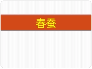 《春蚕》课件-1