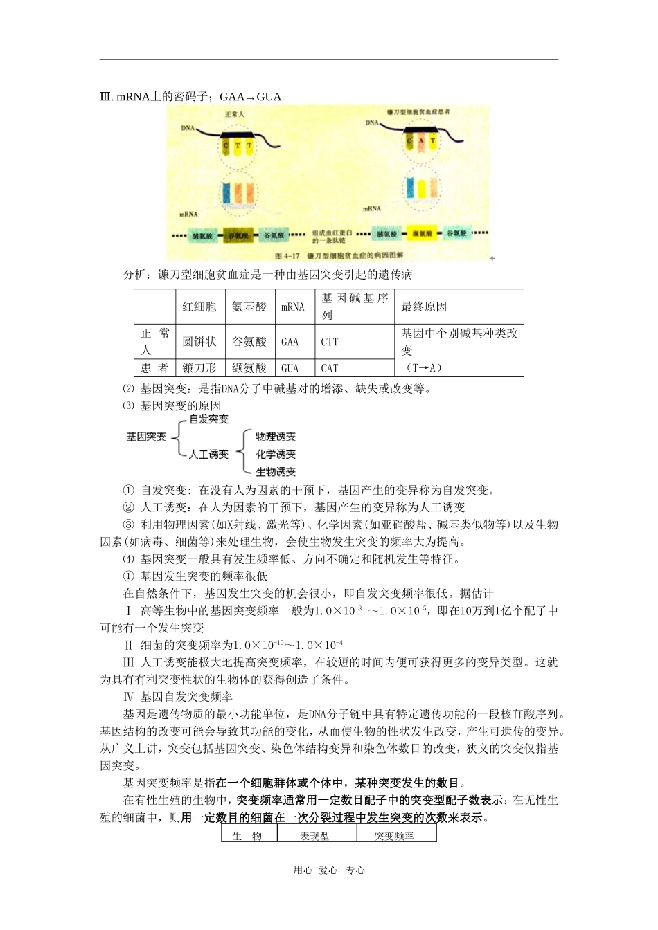 高一生物第四节--基因突变和基因重组(一)苏教版-知识精讲_第2页