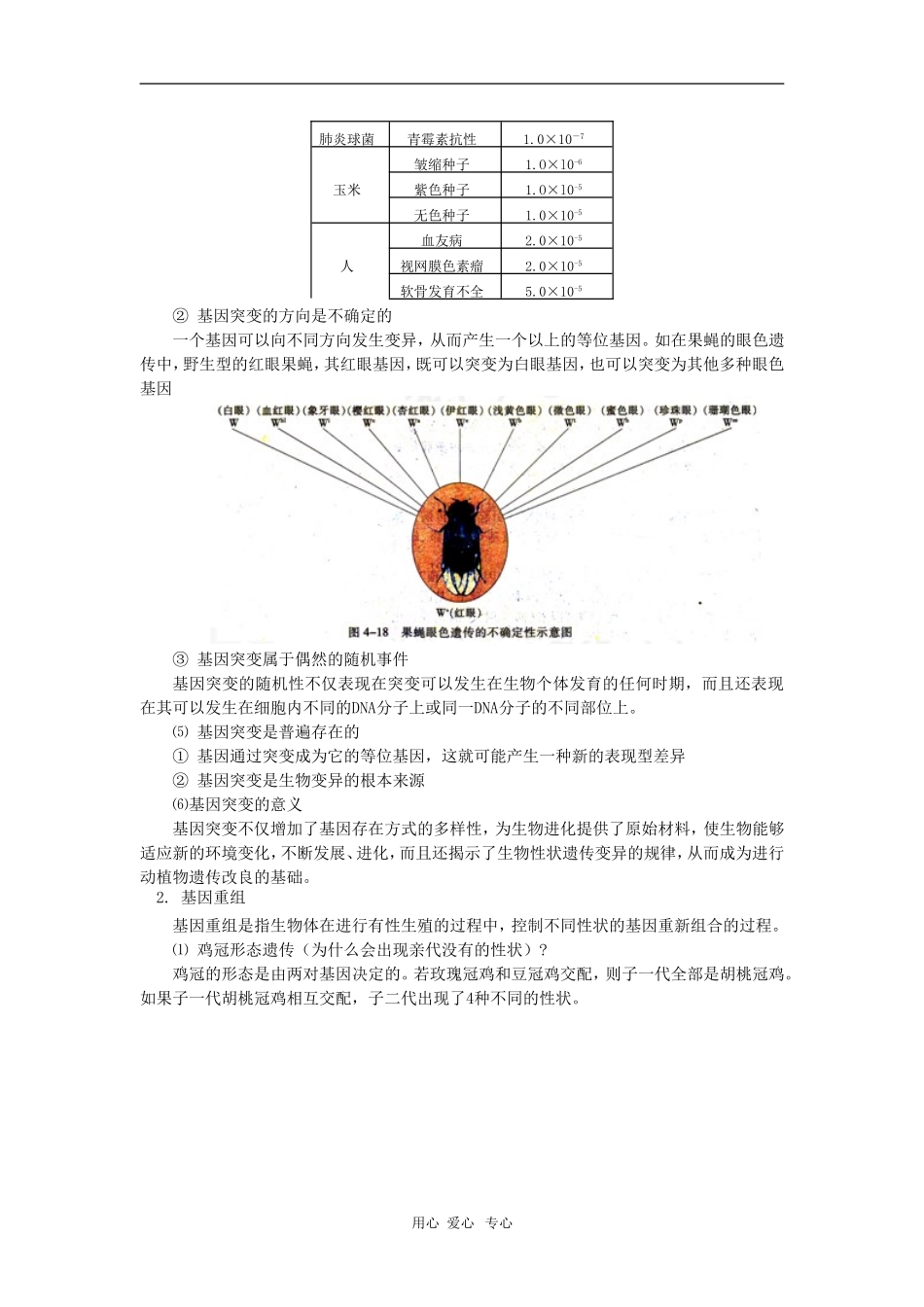 高一生物第四节--基因突变和基因重组(一)苏教版-知识精讲_第3页