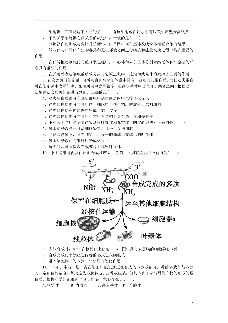 山东省2013届高三生物单元测试7-《分子与细胞模块综合》-新人教版_第2页