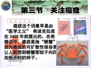 癌细胞的形成
