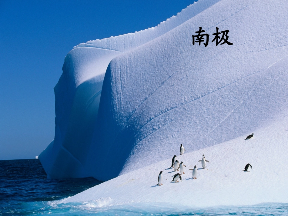 《把我寄给爸爸》课件2_第3页
