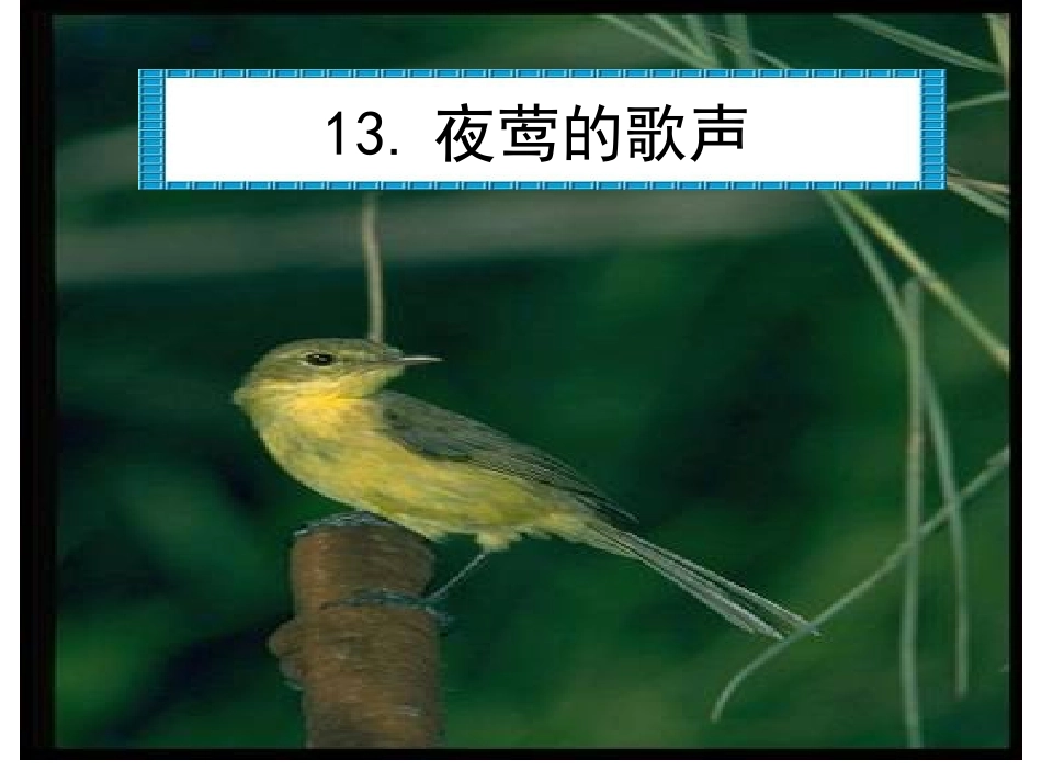 [小四语文课件]夜莺的歌声(人教版)_第1页