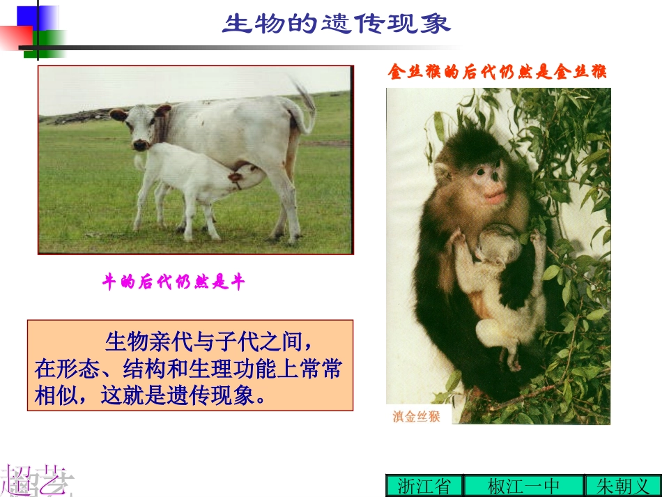 高二生物DNA是主要的遗传物质l（共13张PPT）_第1页