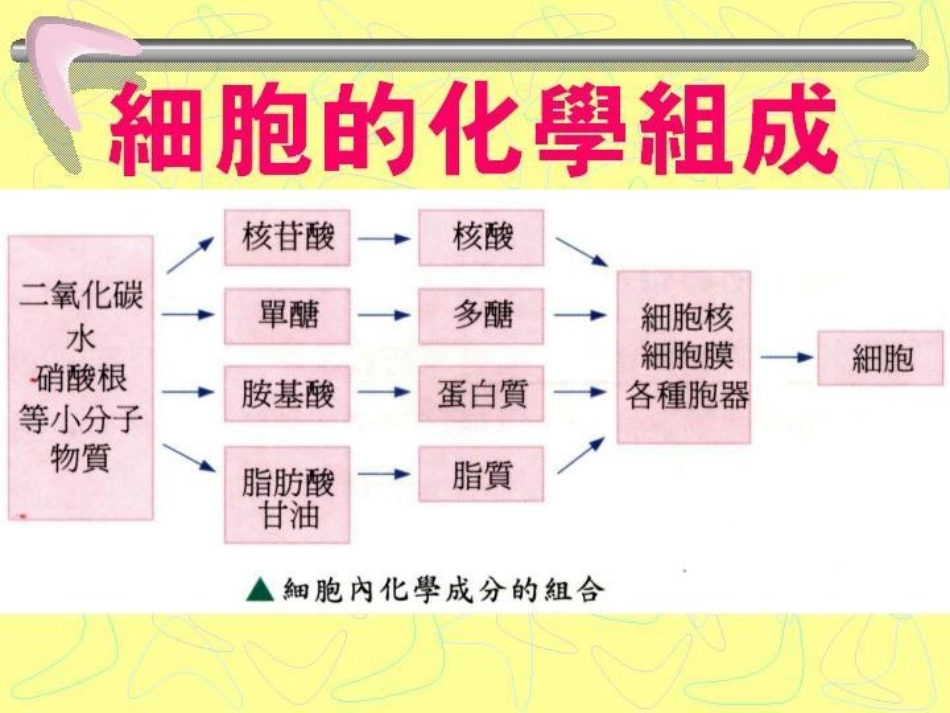 高中生物《细胞的化学组成》课件5-中图版必修1_第2页