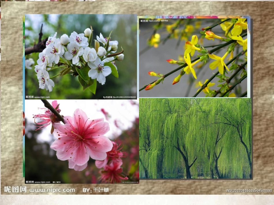 幼儿园中班语言《春天》PPT课件_第2页