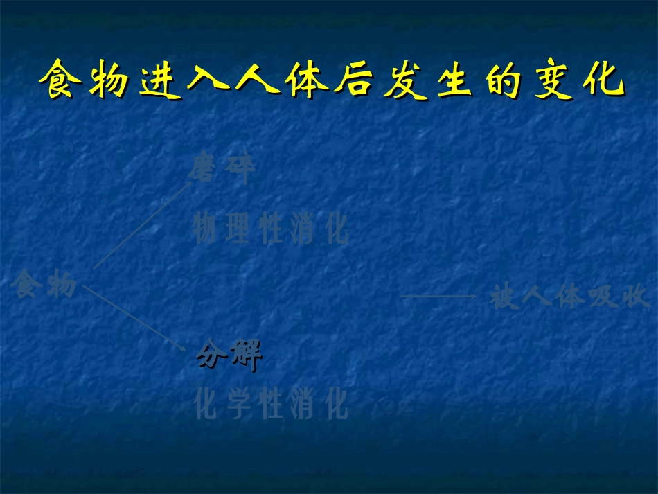 七年级生物人体对食物的消化吸收_第2页