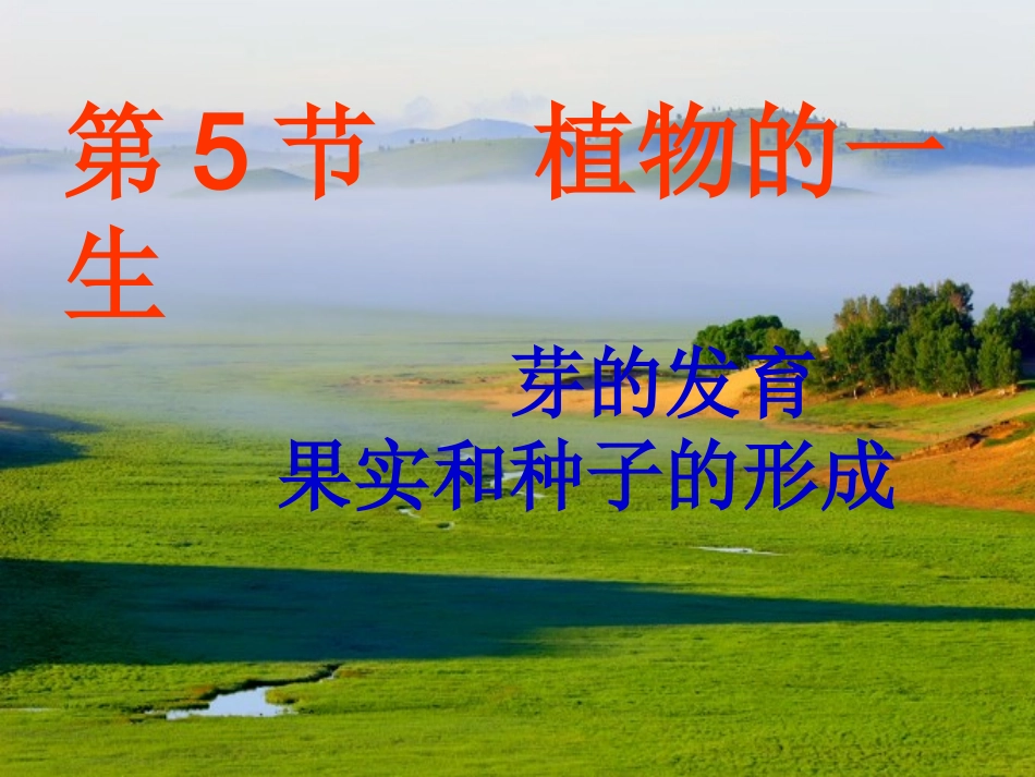 浙江省桐乡三中七年级科学下册《植物的一生》课件1-浙教版_第1页