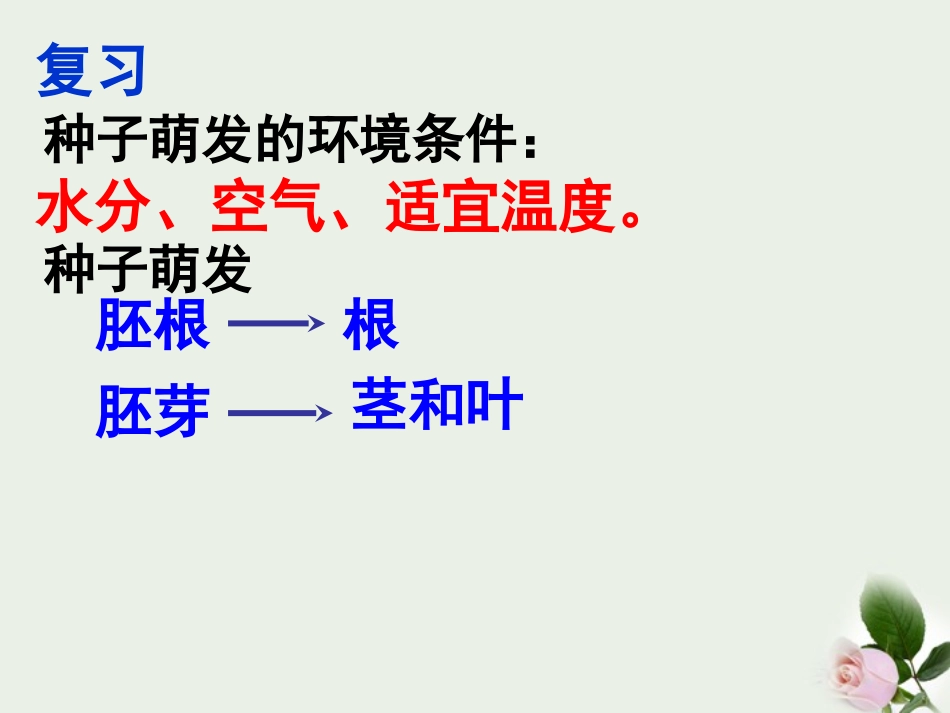 浙江省桐乡三中七年级科学下册《植物的一生》课件1-浙教版_第2页